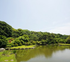 小石川植物園_036
