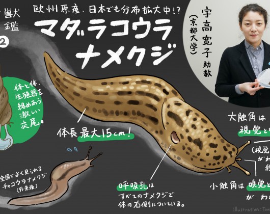 名称未設定のアートワーク 8