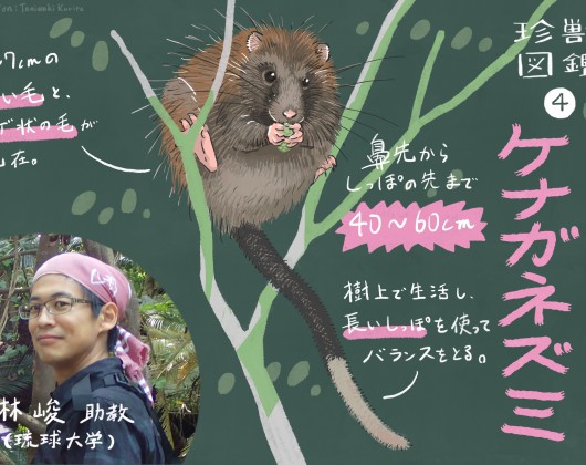第2稿___名称未設定のアートワーク