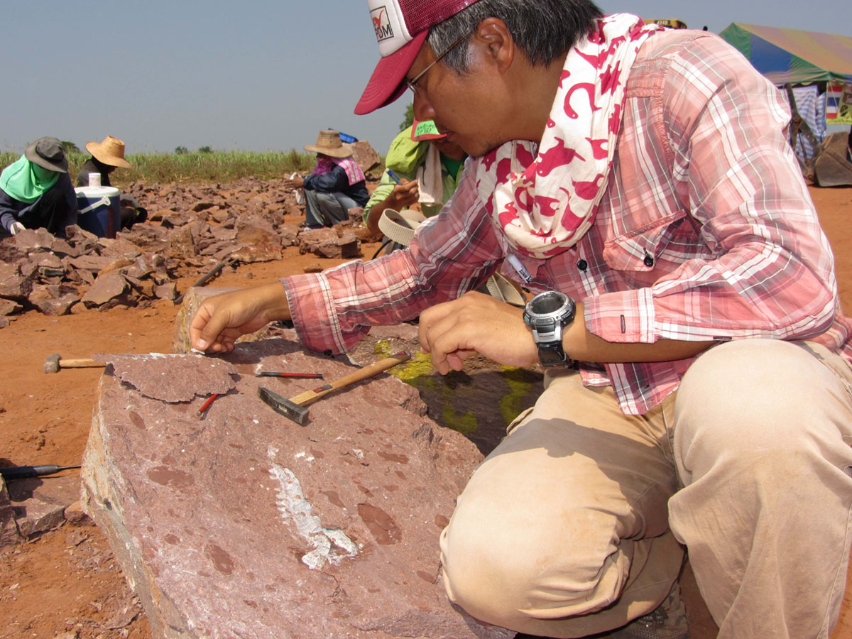 タイでの発掘の様子。化石はイグアノドン類の下顎