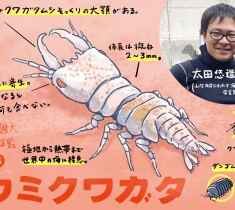 見事な生地一覧 昆虫 海の仲間XK111【絶品】- reni.kz