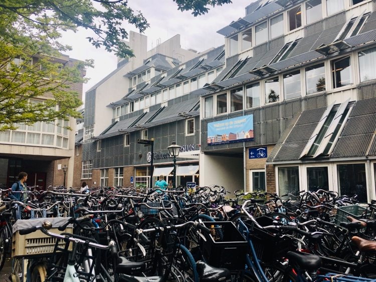人文学部のキャンパス前には自転車がぎっしり並ぶ。