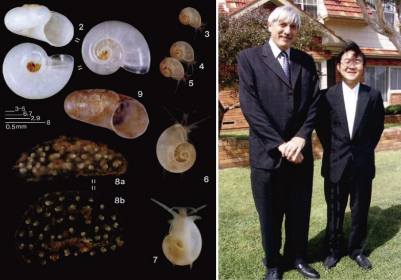 左：（2〜8）ヤシマイシン（9）ヒメシマイシン 八島で、そして追加の調査によって原発建設予定地内でも発見されたTomura yashima。この貝がいなければ、その後の貝類の進化は今とはまったく違っていたかもしれない。維新であり革命であるということで、和名はヤシマイシン（カクメイ科）と命名したのだそう。 右：Winston F. Ponder 博士と福田先生（シドニー、2005年3月、Julie M. Ponder 氏撮影）。