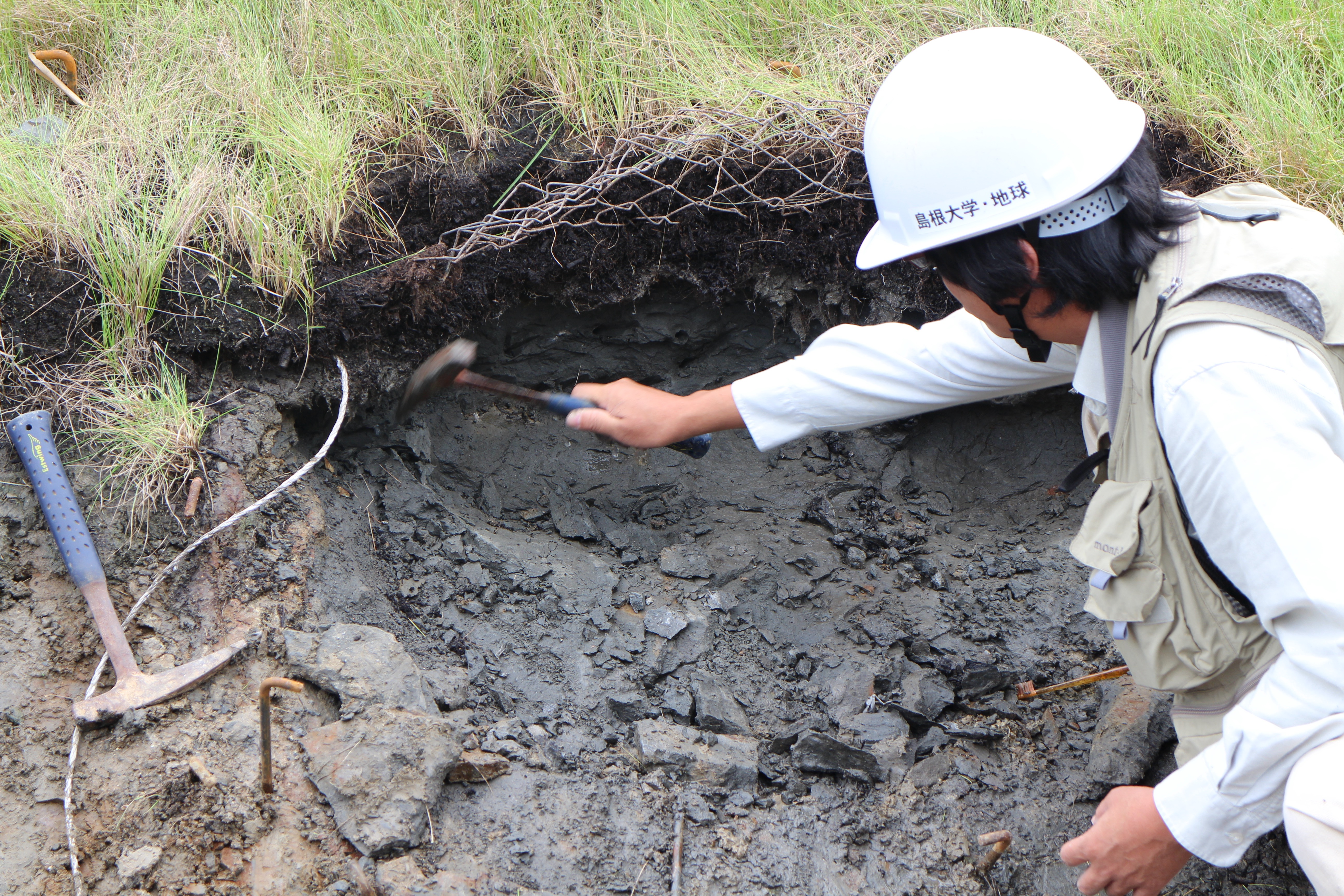 宍道湖南岸工事現場での化石調査