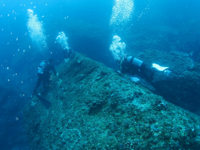 小笠原諸島父島沖では水深25mまで潜り、さまざまな魚類や貝類に寄生するカイアシ類 (新種多数)を採取