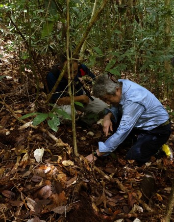 ダニ学と原生生物学がご専門の島野先生。熱帯雨林での調査風景