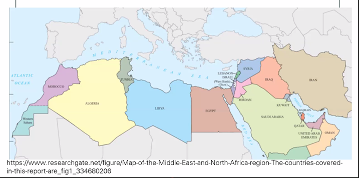 茶色がエジプト、左の紫色がモロッコ（公開講座 スライドより）