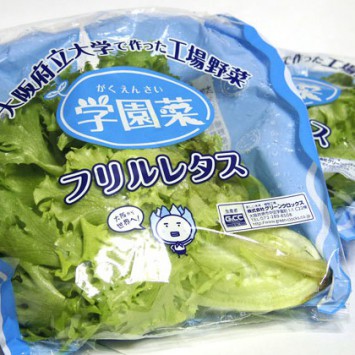 2f190884c6f49991bf6bc01e20bc09