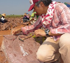 タイでの発掘の様子。化石はイグアノドン類の下顎