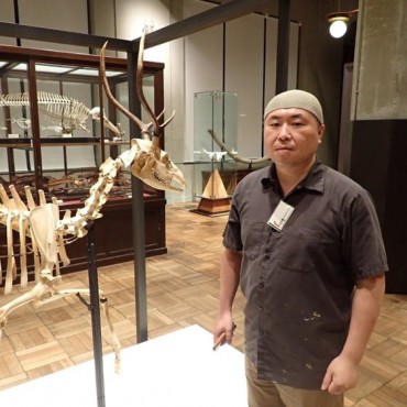 東京駅直近の博物館「インターメディアテク」で骨格標本作りについて聞いてきた | ほとんど0円大学